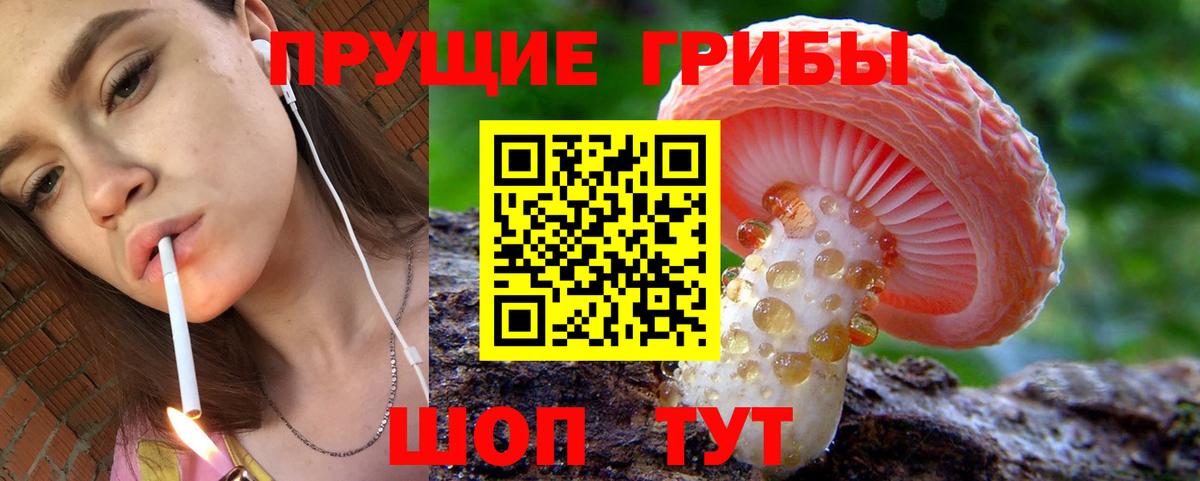 Псилоцибиновые грибы Psilocybine cubensis  Вход с VPN  Находка 