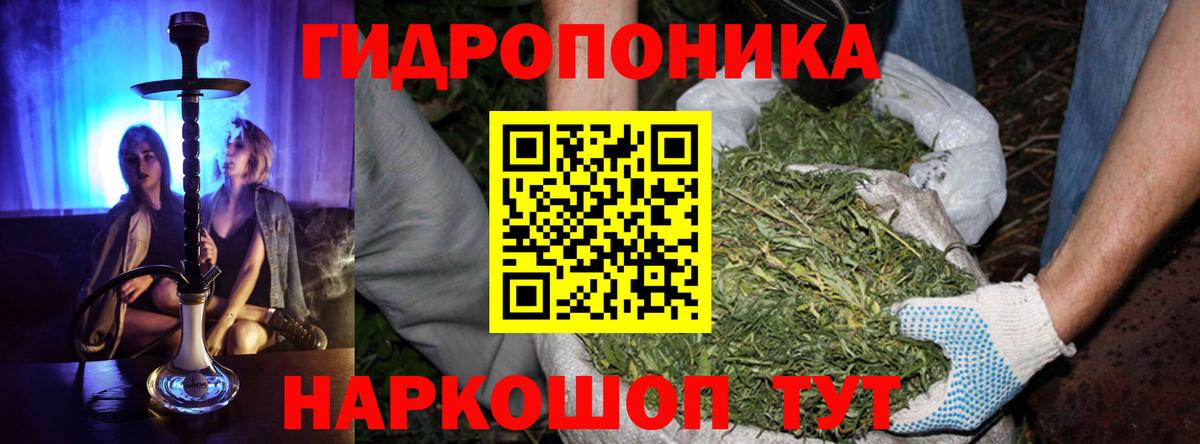 Шишки марихуана SATIVA & INDICA  Вход с VPN  Бошки марихуана White Widow  Находка  Бошки марихуана гибрид  Конопля AK-47 
